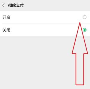 微信支付怎样开通指纹验证？微信支付开通指纹验证的方法图片4