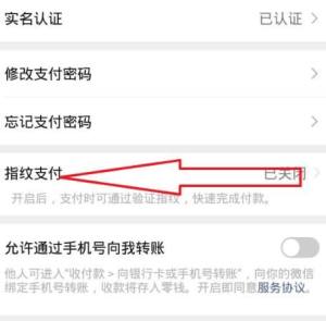 微信支付怎样开通指纹验证？微信支付开通指纹验证的方法图片3