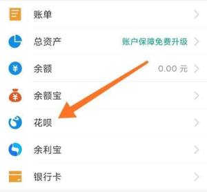 支付宝花呗如何提前还款？支付宝花呗提前还款的方法图片3