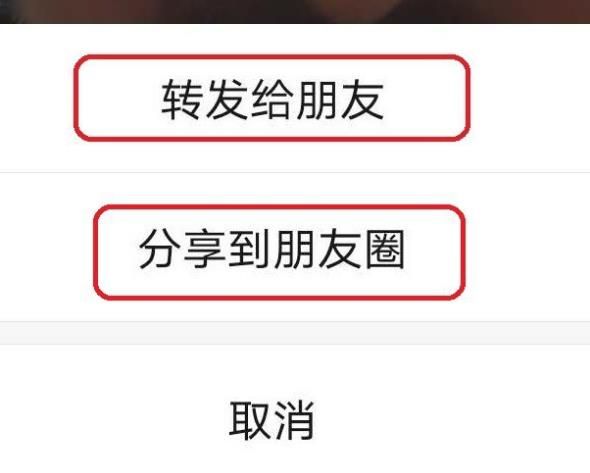 怎样将微信视频号内容转发到朋友圈？将微信视频号内容转发到朋友圈的方法[多图]图片4