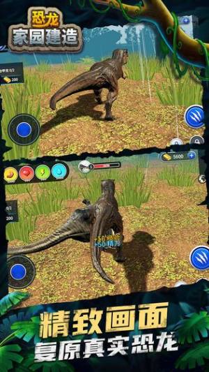 恐龙家园建造游戏图3