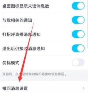 QQ如何关闭撤回消息后缀？QQ关闭撤回消息后缀的方法图片4