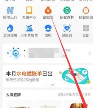 支付宝怎么赚花呗金图片2