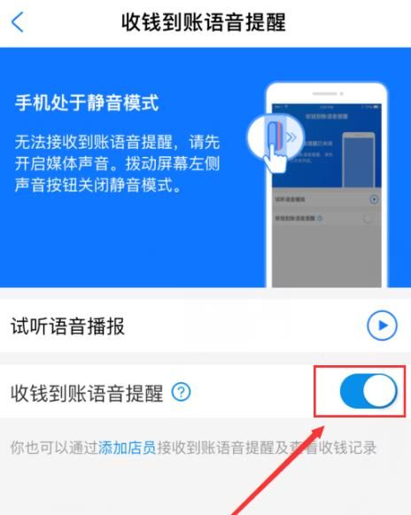 支付宝怎么设置方言版收款到账语音[多图]图片7