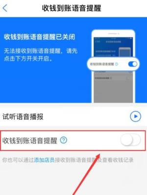 支付宝怎么设置方言版收款到账语音图片6