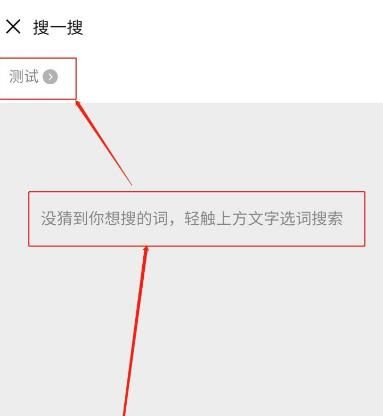 微信最新上线的对话框搜一搜功能怎么使用？微信最新上线的对话框搜一搜功能使用方法[多图]图片5