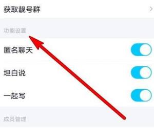 手机qq群怎么打开功能设置？手机qq群打开功能设置的方法图片5