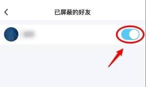 QQ怎么解除对好友的屏蔽？QQ解除对好友的屏蔽的方法图片5