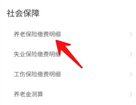 如何查看养老保险的缴费明细？查看养老保险的缴费明细的方法[多图]图片5