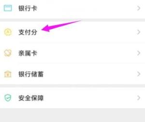 微信怎么查看自己的支付分？微信查看自己的支付分的方法图片5