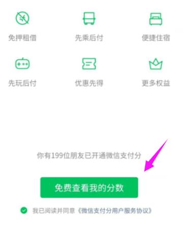 微信怎么查看自己的支付分？微信查看自己的支付分的方法[多图]