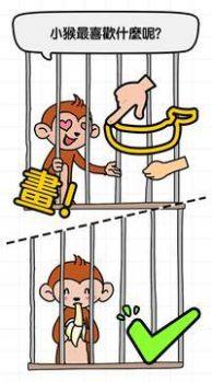 是聪明人就来证明自己游戏官方最新版图片2