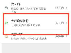 手机微信如何开启金额隐私保护功能？手机微信开启金额隐私保护功能的方法图片4