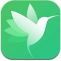 蜂鸟快讯app官方版 v1.0.0