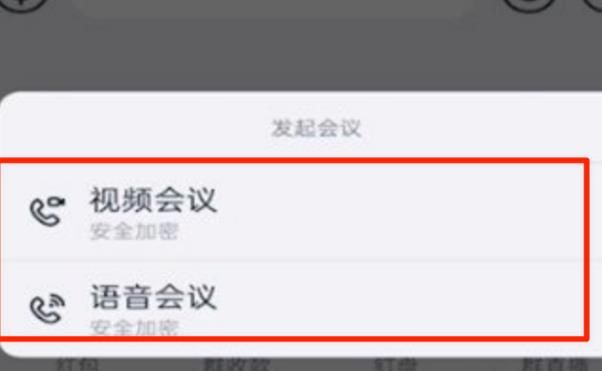 钉钉视频会议如何设置全员静音？钉钉视频会议设置全员静音的方法[多图]图片4