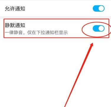 怎么开启微信语音和视频邀请通知的静默通知？开启微信语音和视频邀请通知的静默通知的方法[多图]图片7