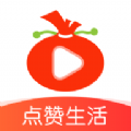 葱花视频 app官方下载 v1.2.4