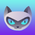 夜猫体育官方版app下载 v1.0.1
