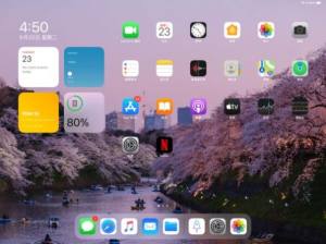 iPadOS 14.6 RC 2准正式版图3