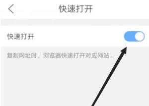 QQ浏览器怎么关闭快速打开功能？QQ浏览器关闭快速打开功能的方法图片5