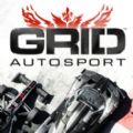 grid autosport安卓版