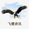 飞鹰资讯网app 软件 v1.0