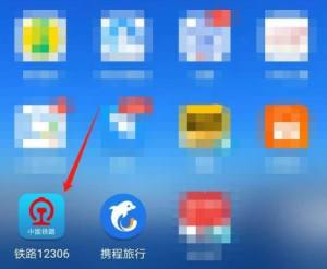 手机铁路12306怎么查看本人车票？手机铁路12306查看本人车票的方法图片1