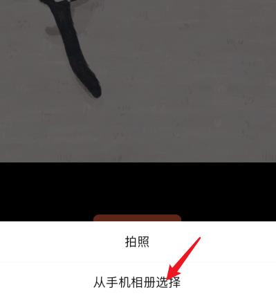 微信小商店怎么修改店铺logo？微信小商店修改店铺logo的方法[多图]