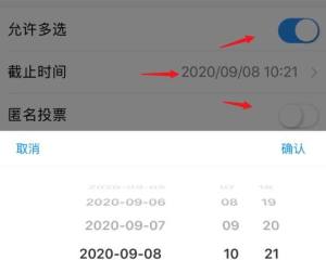 钉钉手机群投票怎么操作？钉钉手机群投票操作的方法图片7