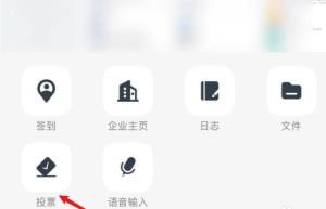 钉钉手机群投票怎么操作？钉钉手机群投票操作的方法图片4