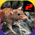 母鼠模拟器2游戏安卓中文版 v1.0