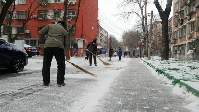 北京2021年第一场雪图片大全，北京地面开始见白[多图]图片10