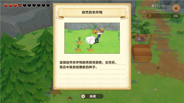 牧场物语橄榄镇与希望的大地玩法技巧攻略，新手开局发展路线推荐[多图]图片10