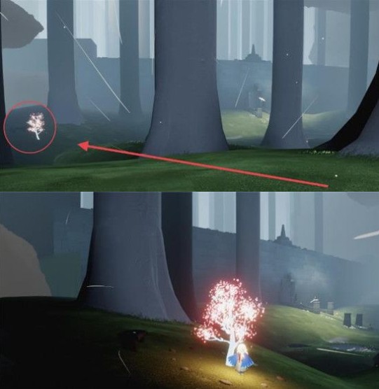 光遇5.31任务攻略大全 光遇5月31日任务攻略汇总图片5