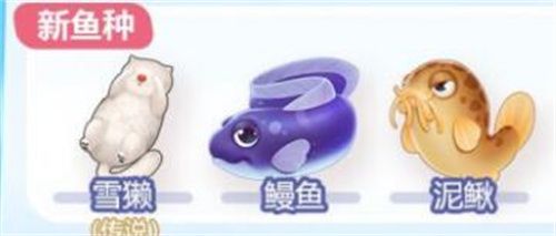 摩尔庄园鳗鱼怎么钓？钓鳗鱼位置大全[多图]图片2