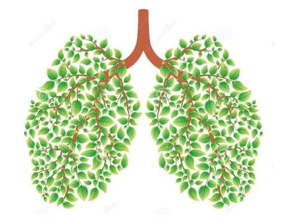 肺部健康测试是什么梗？肺部健康测试方法介绍[多图]图片2