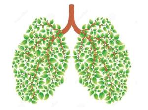 肺部健康测试是什么梗？肺部健康测试方法介绍图片2