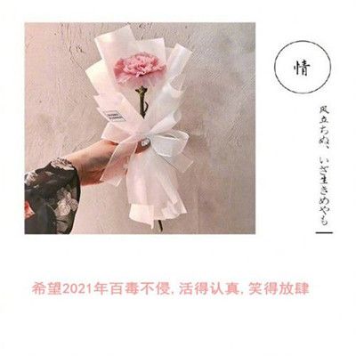 希望2021年百毒不侵活得认真笑得放肆表情包大全[多图]