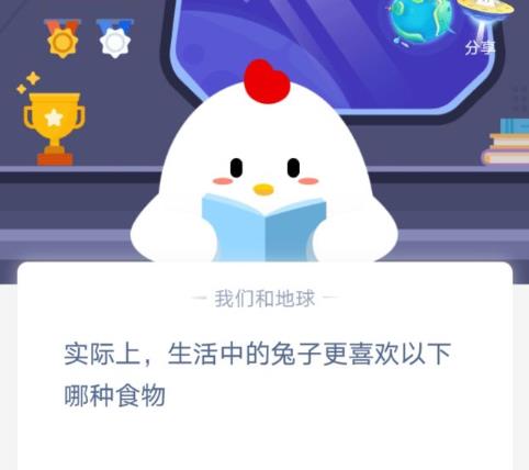 兔子喜欢吃什么食物？实际上兔子最喜欢吃的是什么？实际上兔子更喜欢哪种食物？[多图]