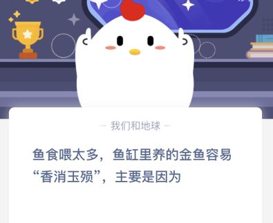 鱼食喂太多鱼为什么要撑死？金鱼容易香消玉殒是什么原因？[多图]