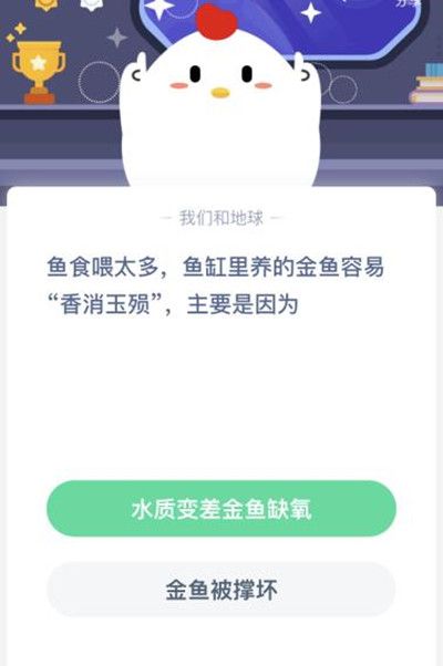 金鱼喂太多会不会撑死？鱼食喂太多金鱼香消玉殒是撑死的吗？[多图]图片2