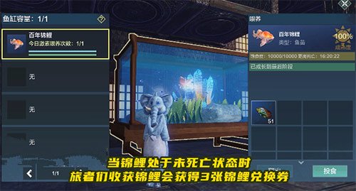 妄想山海锦鲤兑换券速刷攻略，锦鲤坐骑获取方法介绍[多图]图片2