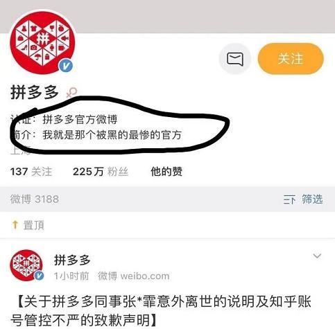 拼多多微博简介是什么？拼多多微博简介介绍[多图]图片2