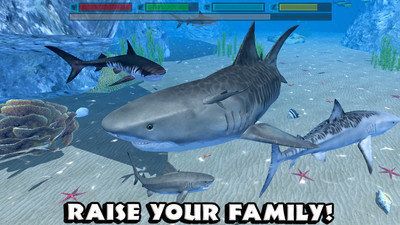 抖音鲨鱼跑游戏图1