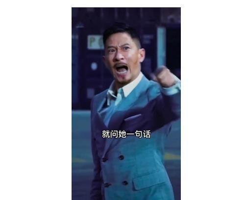 帮我问一下阿姨就问她一句话今年过年需要女婿吗表情包大全[多图]