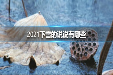 2021下雪天发朋友圈的说说，下雪天发朋友圈的文案[多图]