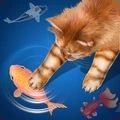 让猫触屏捕鱼的游戏安卓版