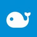 鲸点之家手机app v1.0