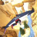 翼装飞行比赛游戏官方版安卓版 v1.0