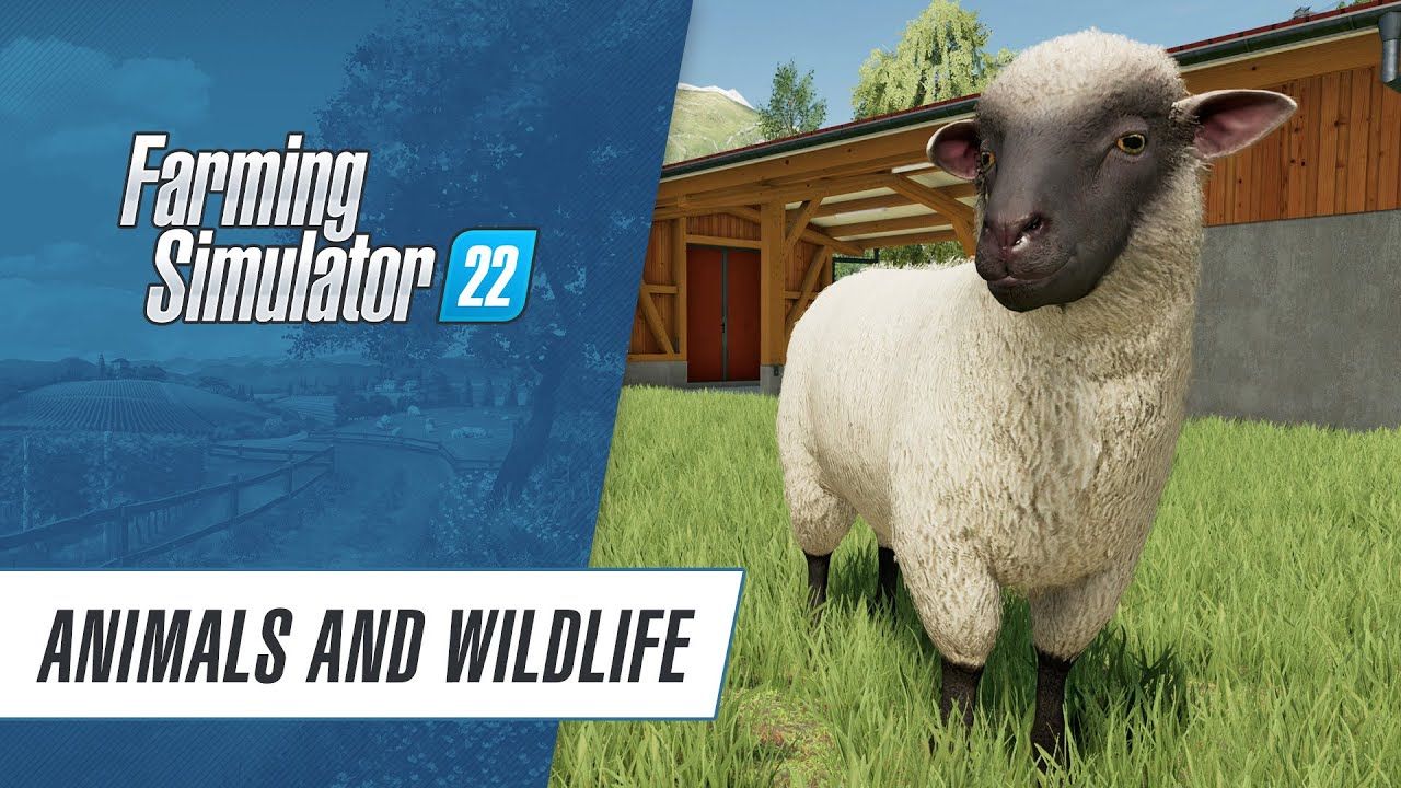 模拟农场22动物和旷野最新版图1